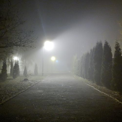 Photo #4730689