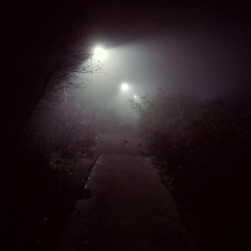 Photo #4730693