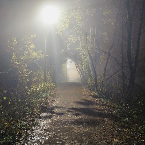 Photo #4730722