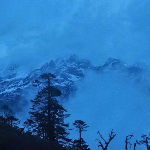 Photo #4730928