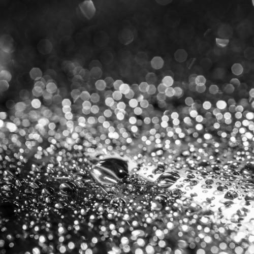 Photo #4730948