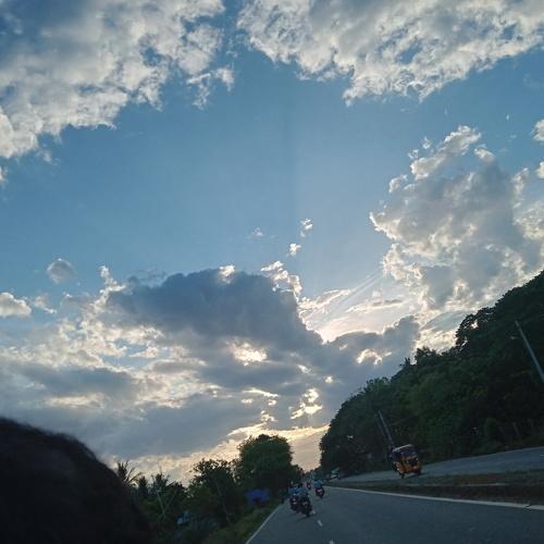 Photo #4731284