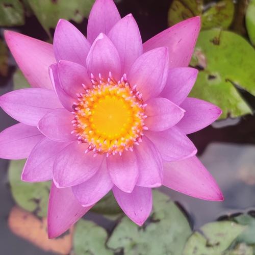 Photo #4731320