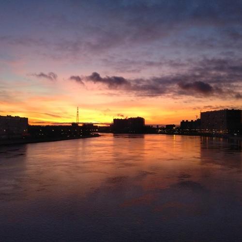 Photo #4731434