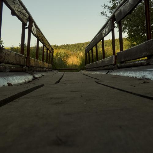 Photo #4732628