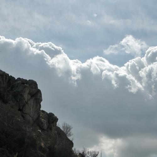 Photo #4733044
