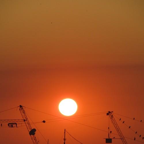 Photo #4733229