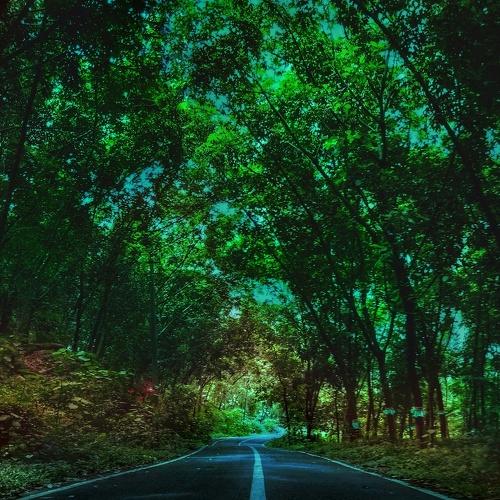 THE ROAD TO HEAVEN.