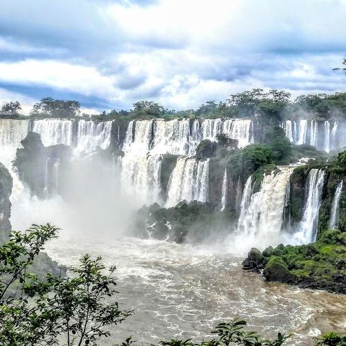 Photo #4733422