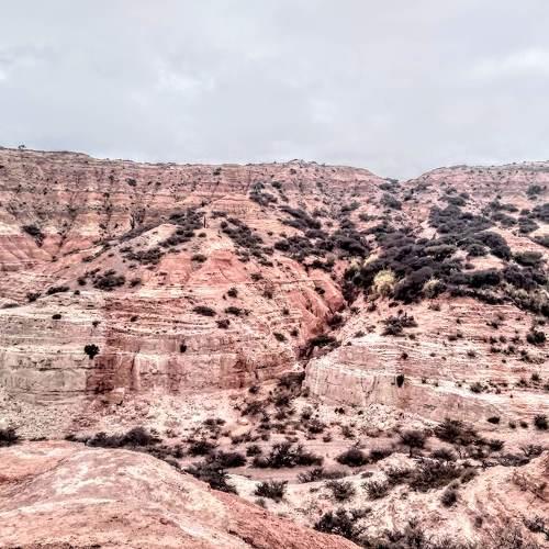 Photo #4733521