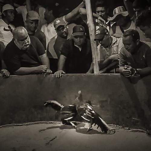 en la valla