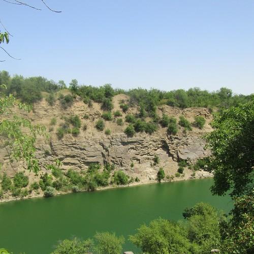 Photo #4733603