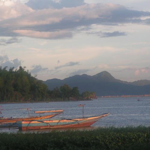 Photo #4733824