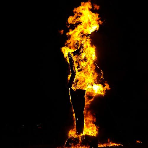 Photo #4733842