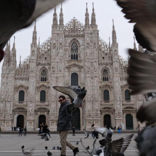 Photo #4734071