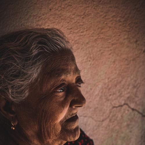 Photo #4734255