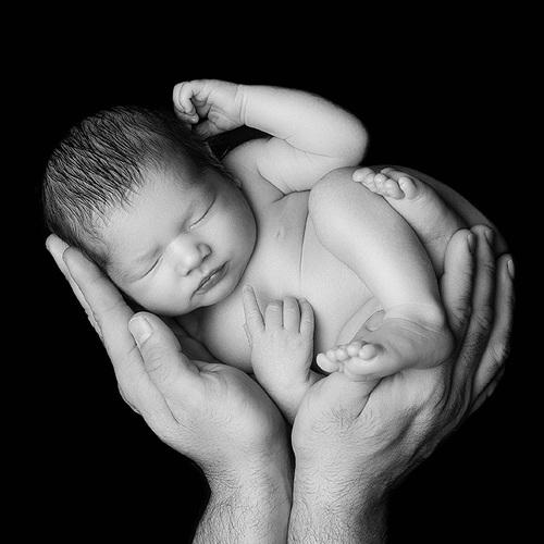 Photo #4734427