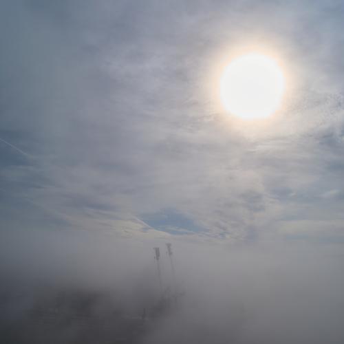 Photo #4734580