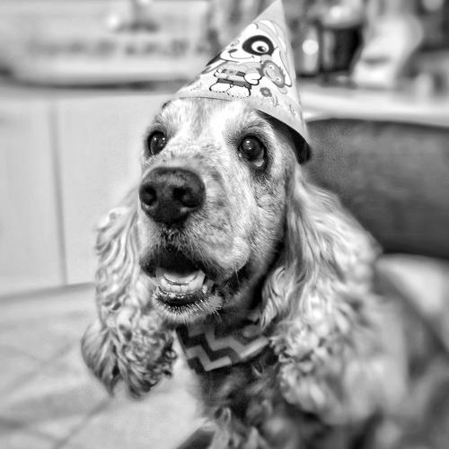 Mia's Birthday