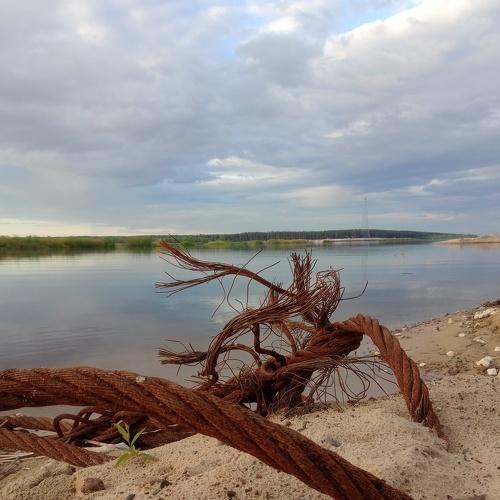 Photo #4735422