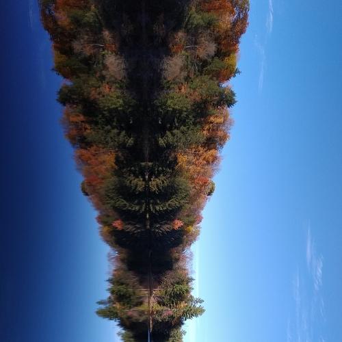 Photo #4735520