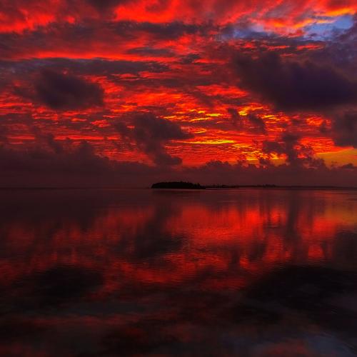 Photo #4735566
