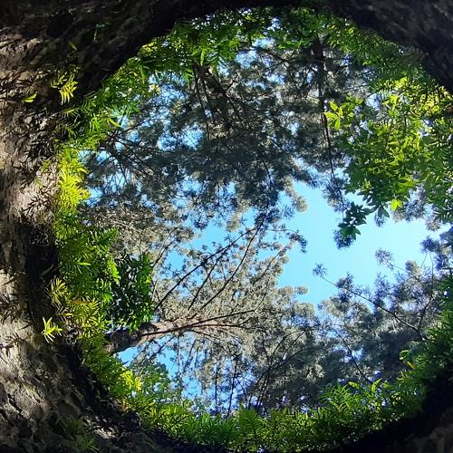 Photo #4735568