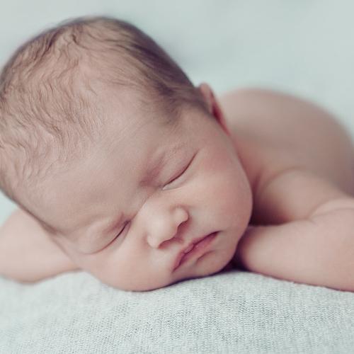 Photo #4735612