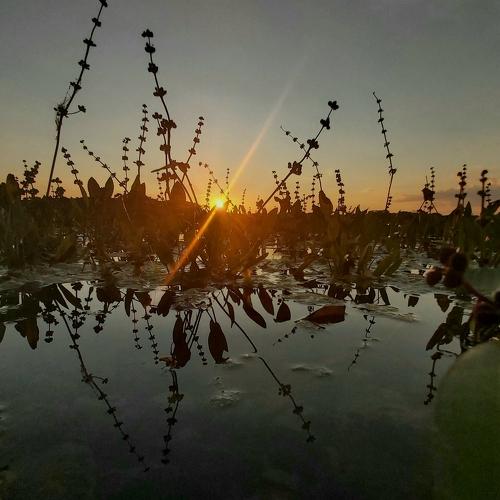 Photo #4735651