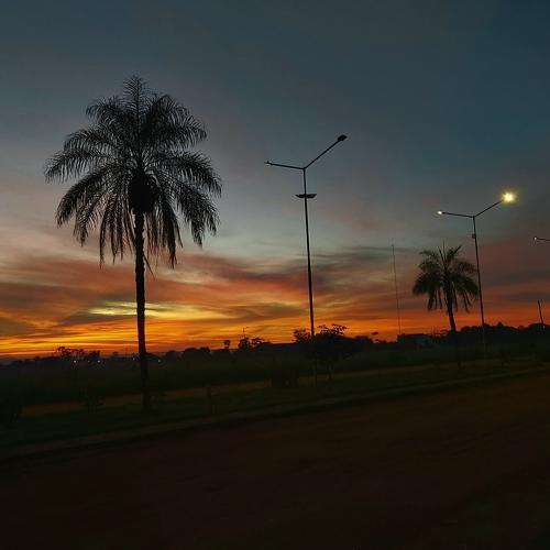 Photo #4735681