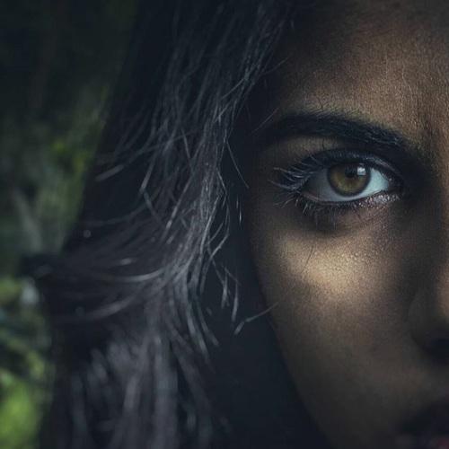 Photo #4736064