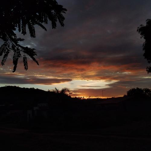 Photo #4736162