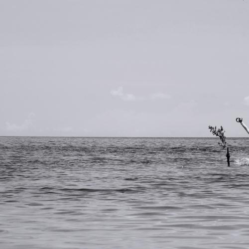 Libertad