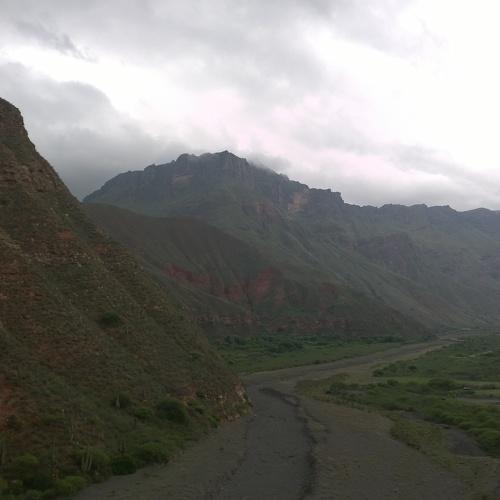Photo #4736479