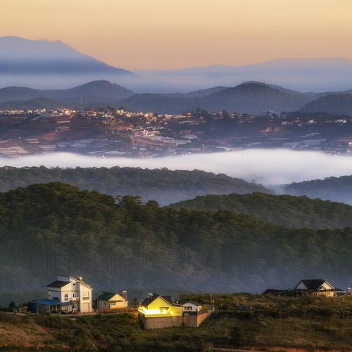 Photo #4736501