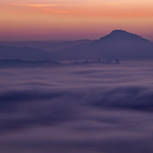 Photo #4736503
