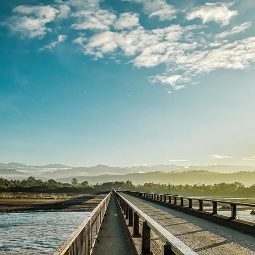 Photo #4736531