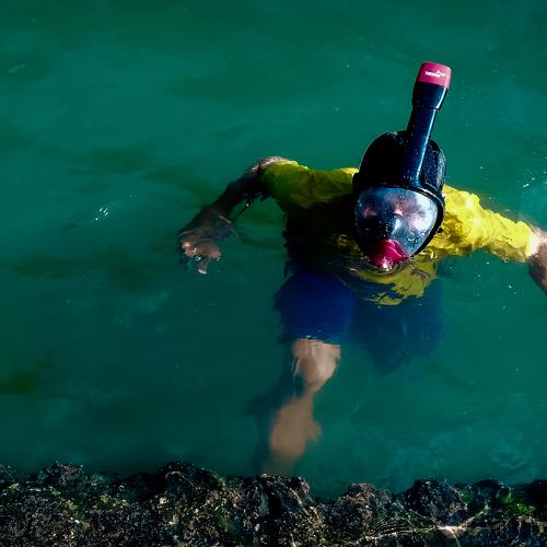 Photo #4736600