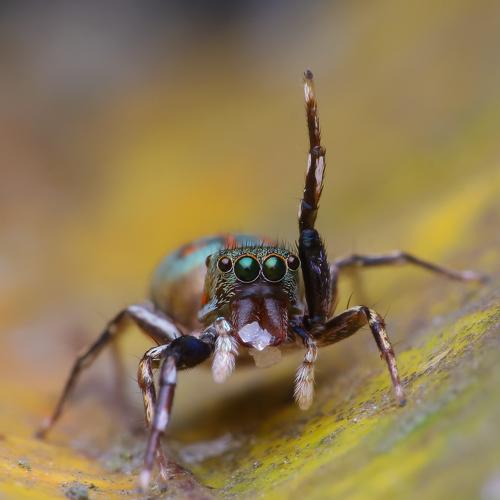 Photo #4736670