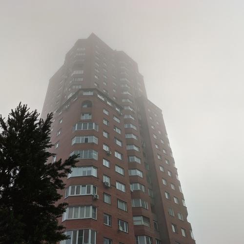 Photo #4736774