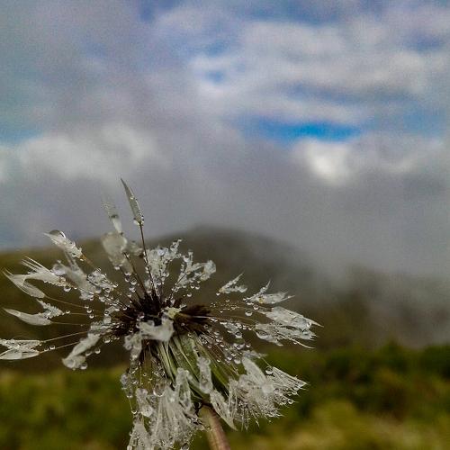 Photo #4737350