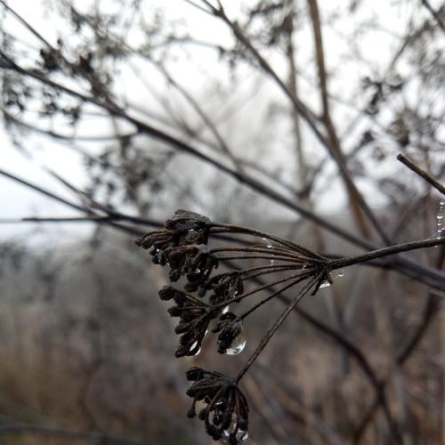 Photo #4737381