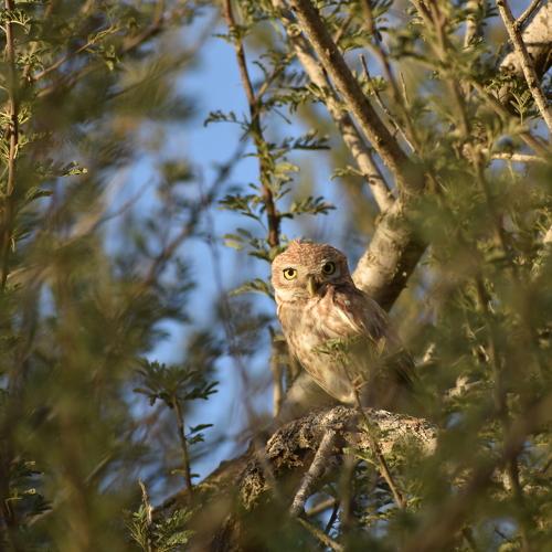Photo #4737524