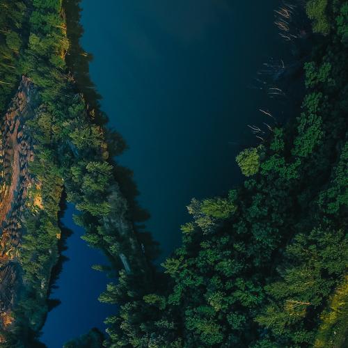 Photo #4737907