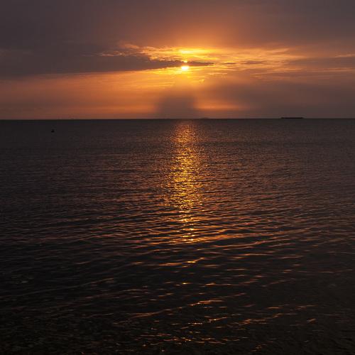 Photo #4738008