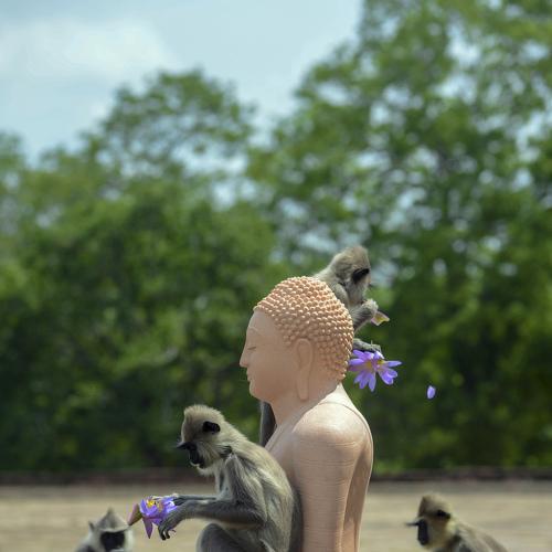 Photo #4738357
