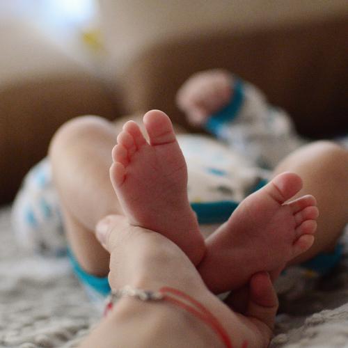 Photo #4738489