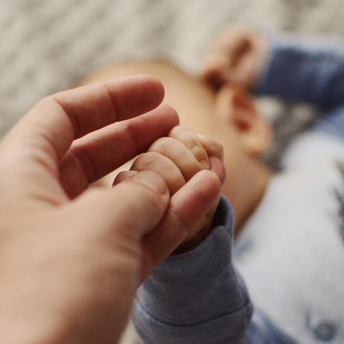 Photo #4738491