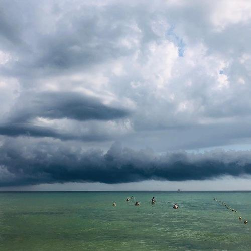 Photo #4738515