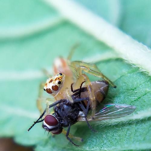 Photo #4738516